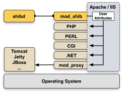 SP Components and Environment